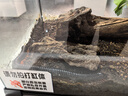 八马茶业六福临门三大茗茶 红茶金骏眉铁观音肉桂248g茶叶礼盒送礼 实拍图