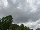 天堂 加大雨伞三折 晴雨两用商务伞经典格纹10骨大雨伞男女 暗紫红 实拍图