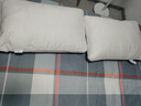 全季五星级酒店专用羽丝绒枕头护颈助睡眠枕头颈椎枕成人枕头 酒店同款羽绒枕 A类 单只 低枕 单只【睡后4-6cm左右】 实拍图