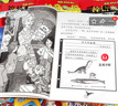 【官方正版】神奇校车系列全套 图画书版动画版阅读版人文版桥梁书版手工益智版 新华书店神奇的校车儿童科普百科全书绘本故事书 【16册】第三辑阅读版 实拍图