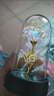 Rochli生日礼物送女生闺蜜朋友七夕情人节表白女生永生花玫瑰花束摆件 彩金玫瑰+礼盒礼袋+彩灯 实拍图