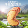 三只松鼠大颗粒紫皮腰果500g罐装 坚果炒货量贩干果腰果仁零食送礼 实拍图