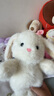 名创优品（MINISO）塔妮兔乖乖坐姿公仔毛绒玩具玩偶抱枕娃娃送女友告白生日礼物女 实拍图