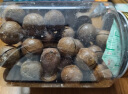 三只松鼠芥末味夏威夷果仁500g 非油炸袋装坚果果仁脆皮休闲零食 实拍图