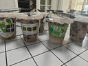 蒙牛特仑苏脱脂纯牛奶250ml×16盒 0脂肪 牛奶整箱 送礼盒装 实拍图