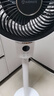 艾美特（AIRMATE）【小暴风语音】空气循环扇大风量电风扇家用小型落地扇升级加高电扇轻音柔风小风扇 FA18-SR160 实拍图