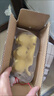 品云美宠白蟋蟀活体蛐蛐活物爬宠蜥蜴守宫鬃狮蜘蛛活食饲料 白蟋蟀0.3-0.7cm 50只 实拍图