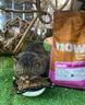 NOW FRESH进口无谷成猫粮 优质蛋白呵护泌尿全猫通用 8磅/3.63kg 效期25.10 实拍图