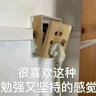 兰蔻全新超修小黑瓶精华115ml抗老维稳年轻护肤品生日礼物送女友 实拍图