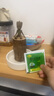 九月生水培巴西木幸运木带托盘格鲁特花卉绿植盆栽室内桌面植物中号 实拍图
