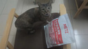 玫斯（metz）猫粮无谷天然猫粮成猫幼猫全阶段鲜肉孕猫全价奶糕猫粮 肠道护理1.5KG（2月及以上） 实拍图