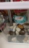 森森（SUNSUN）鱼缸水族箱生态桌面金鱼缸玻璃小型客厅制氧过滤免换水家用缸 高清玻璃 230白色标配 （带20件套） 晒单实拍图