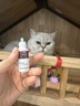 宠物猫咪狗普乐美清普乐信滴眼液安愈灵皮肤喷膏安舒宁皮肤病 普乐美滴眼液1支 实拍图