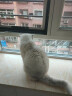 麦富迪猫粮 冻干鲜粮三文鱼鸡肉全期猫粮 1.8kg 实拍图