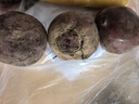 甜菜根新鲜现挖5斤甜菜头紫菜头红甜菜可榨汁农产品红菜头萝卜头 甜菜根5斤小果个数随机 实拍图