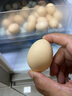 莳篱 鲜鸡蛋 营养早餐 普通鸡蛋 柴鸡蛋笨鸡蛋 土鸡蛋30枚【50g/枚起】 实拍图