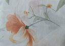 博洋家纺纯棉床单印花全棉床罩单件套 花逸180*230cm 实拍图