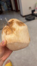 京鲜生越南进口椰青椰子9个装 大果单果900g+ 新鲜水果 母亲节礼物 包邮 实拍图