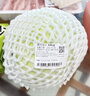 圆白菜约1kg 实拍图