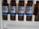 敖东 安神补脑液10ml*40支 生精补髓 益气养血 强脑安神 头晕乏力 健忘失眠 神经衰弱 实拍图
