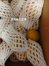 京世泽【顺丰空运/新疆直发】新疆小红杏 吊干杏 时令水果礼盒 超大果净重3斤彩箱【顺丰空运】 实拍图