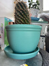 萌优优 欧式花盆 绿植多肉盆栽加厚仿红陶盆带托盘(不含绿植) 翡翠绿 实拍图