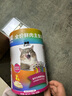 最宠（Paddy Time）猫食品鱼油主食猫条15g*60条混合口味 成猫幼猫咪鲜肉猫湿粮猫粮 实拍图