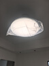 雷士（NVC）LED照明吊扇灯白色风扇灯语音智控客厅大瓦数高亮智能全光谱三防 实拍图