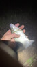 麝香酒钓鱼用小药鲫鱼鲤鱼专用药酒高浓度正品诱鱼剂黑坑饵料专用 【买一赠一】鱼护装不下 晒单实拍图