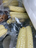 熙食甄谷 零0添加云南手拇指小玉米婴儿童甜糯黏玉米粒棒早餐代餐杂粮2斤 实拍图