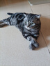妙宠爱 猫咪驱虫药 体内外同驱虫滴剂 2.5-5kg 3支装  效期至26年1月 实拍图