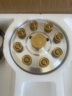 樱花雪燃气灶双灶家用猛火灶天然气灶煤气灶防干烧5.2kw大火力不锈钢液化气灶罐装专用台式嵌入式灶具 鸳鸯右猛火+定时【不锈钢面板】熄火保护+一级能效 天然气 实拍图