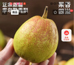 京鲜生 新疆库尔勒香梨 净重5斤 单果100g-120g 新鲜水果 源头直发 实拍图