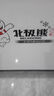 北极熊（BEIJIXIONG）小冰柜家用小型冷冻保鲜迷你冷藏商用卧式冷柜储母乳柜节能省电 单门单温328升【一级能效 全国联保】 328L 实拍图