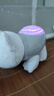 伟易达（Vtech）婴儿玩具0-1岁北极熊睡眠仪星空投影安抚毛绒玩偶宝宝新生儿礼物 实拍图