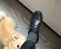 意尔康意尔康皮鞋男软底舒适商务休闲鞋圆头简约系带新 53429W 黑色 42  实拍图