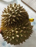 小憨哇泰国金枕头榴莲新鲜带壳进口应季水果整箱精品老树果整箱批发鲜果 净重2-3斤 实拍图