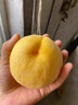 山东青州蜜桃新鲜桃子毛桃甜桃青桃硬桃孕妇脆甜应季水果冬雪 优选3斤【单果100g+】净重2.6斤 实拍图