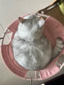 法米娜（Farmina）减肥猫粮石榴鸡肉绝育成猫粮5kg 控制体重进口猫粮 实拍图