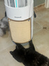 霍尼韦尔（Honeywell）宠物空气净化器吸猫毛除过敏源猫猫搭子 猫毛净化器杀菌消毒除异味【家电国家补贴】KJ360F-C22W 实拍图