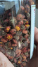 冬海红昆仑雪菊胎菊 菊花茶 正宗新疆特产特野生地级天山血菊90克养生茶 实拍图