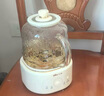 小熊（Bear）全玻璃壶体养生壶恒温壶 办公室多功能煮茶壶花茶壶 0金属养生杯 24h预约24h保温 1L YSH-P10Q7 实拍图