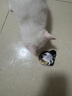 希宝（Sheba）小魔勺幼年期成年期猫宠物零食含香嫩鸡肉鲣鱼巴丁鱼配方10g*32勺 实拍图