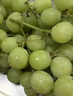 京鲜生 进口Autumn Crisp秋天脆无籽青提 葡萄提子 900g装 新鲜生鲜水果 实拍图