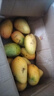 柏馋海南小台农芒果新鲜现摘小台芒应当季热带水果南方特产甜心熟芒果 9斤 净重8-8.5斤 中果单果70-90g 实拍图