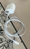 Apple/苹果 20W USB-C手机充电器 原装充电器手机快充头苹果充电器  适用iPhone/iPad/Watch/AirPods 实拍图