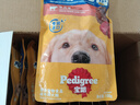宝路狗零食主食软包罐头 妙鲜包进口成犬罐头100g*12牛肉味整箱装 实拍图