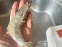 禧美海产 厄瓜多尔巨无霸白虾 去冰净重3斤 30-40只/kg 盐冻大虾 海鲜水产 实拍图