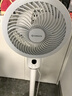 艾美特空气循环扇森氧MAX负离子净化电风扇AI智能语音落地扇卧室家用台式电扇大风力静音 【负离子净化-顶配款】FA18-SRDI230 实拍图