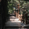 奥林巴斯（OLYMPUS）E-M10 MarkIV EM10四代 微单相机 数码相机 微单套机（14-42mm F3.5-5.6）2030万像素 实拍图